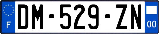 DM-529-ZN