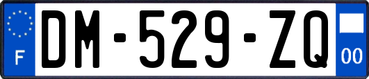 DM-529-ZQ