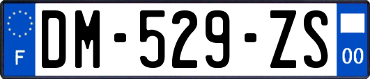 DM-529-ZS