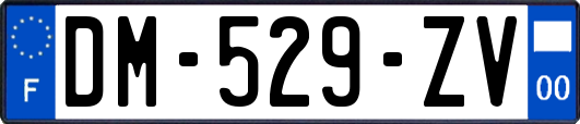 DM-529-ZV