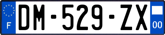 DM-529-ZX