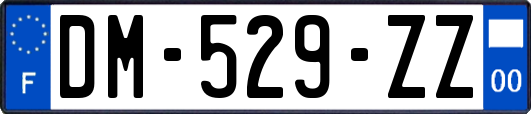 DM-529-ZZ