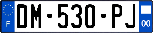DM-530-PJ