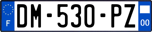 DM-530-PZ