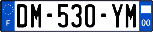 DM-530-YM