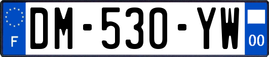 DM-530-YW