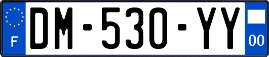 DM-530-YY