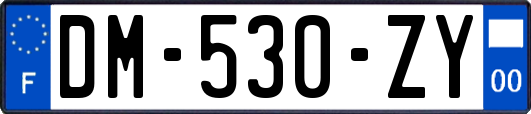 DM-530-ZY