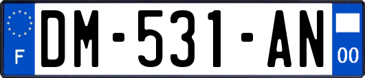 DM-531-AN