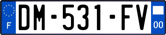 DM-531-FV