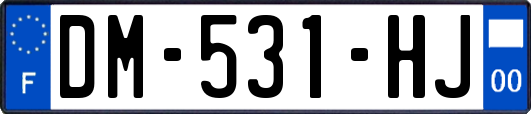 DM-531-HJ