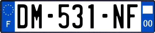 DM-531-NF