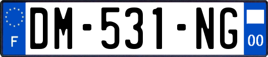 DM-531-NG