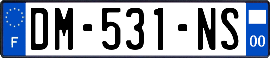DM-531-NS