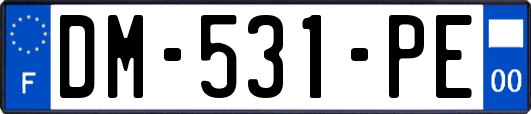 DM-531-PE