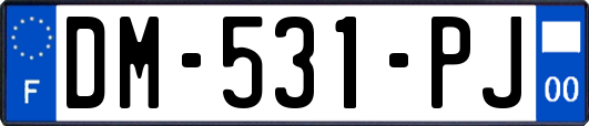 DM-531-PJ