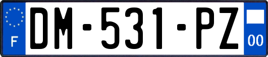 DM-531-PZ