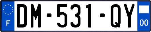 DM-531-QY