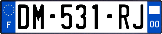 DM-531-RJ