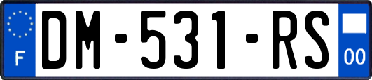 DM-531-RS