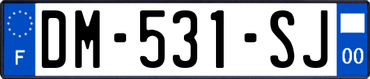 DM-531-SJ