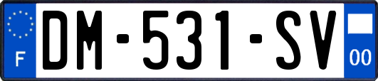 DM-531-SV