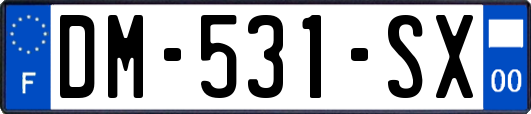 DM-531-SX