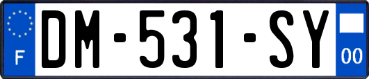 DM-531-SY