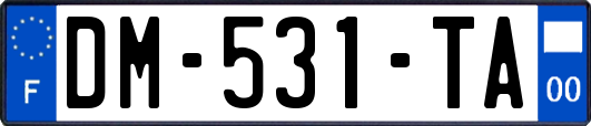 DM-531-TA