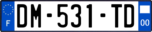 DM-531-TD