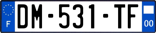 DM-531-TF
