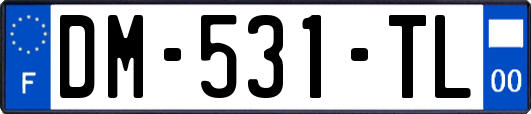 DM-531-TL