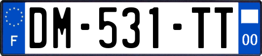 DM-531-TT