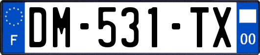 DM-531-TX