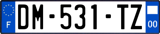 DM-531-TZ