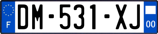 DM-531-XJ