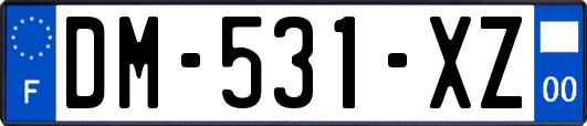 DM-531-XZ