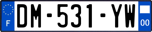 DM-531-YW