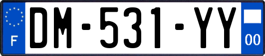 DM-531-YY