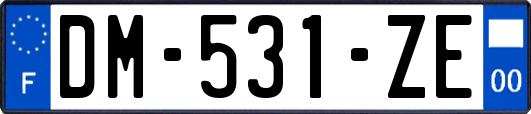 DM-531-ZE