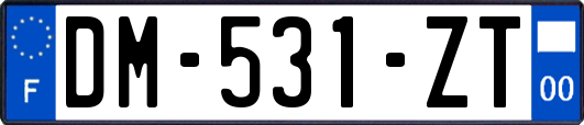 DM-531-ZT