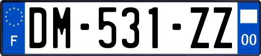 DM-531-ZZ