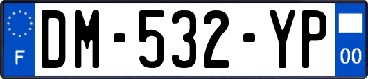 DM-532-YP