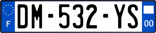 DM-532-YS