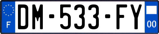 DM-533-FY