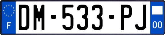DM-533-PJ