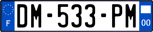 DM-533-PM