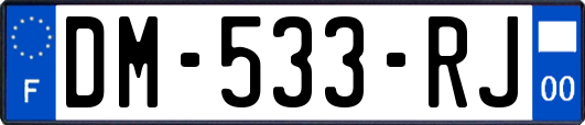DM-533-RJ