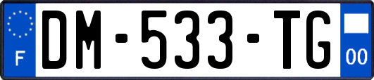 DM-533-TG