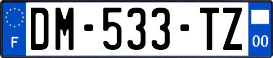 DM-533-TZ